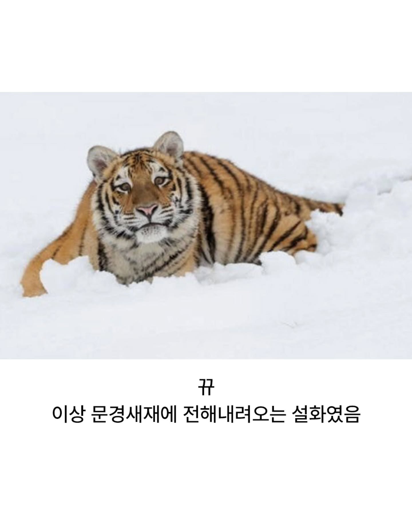 산신령에게 벌을 내린 태종 임금 · 14번째 이미지