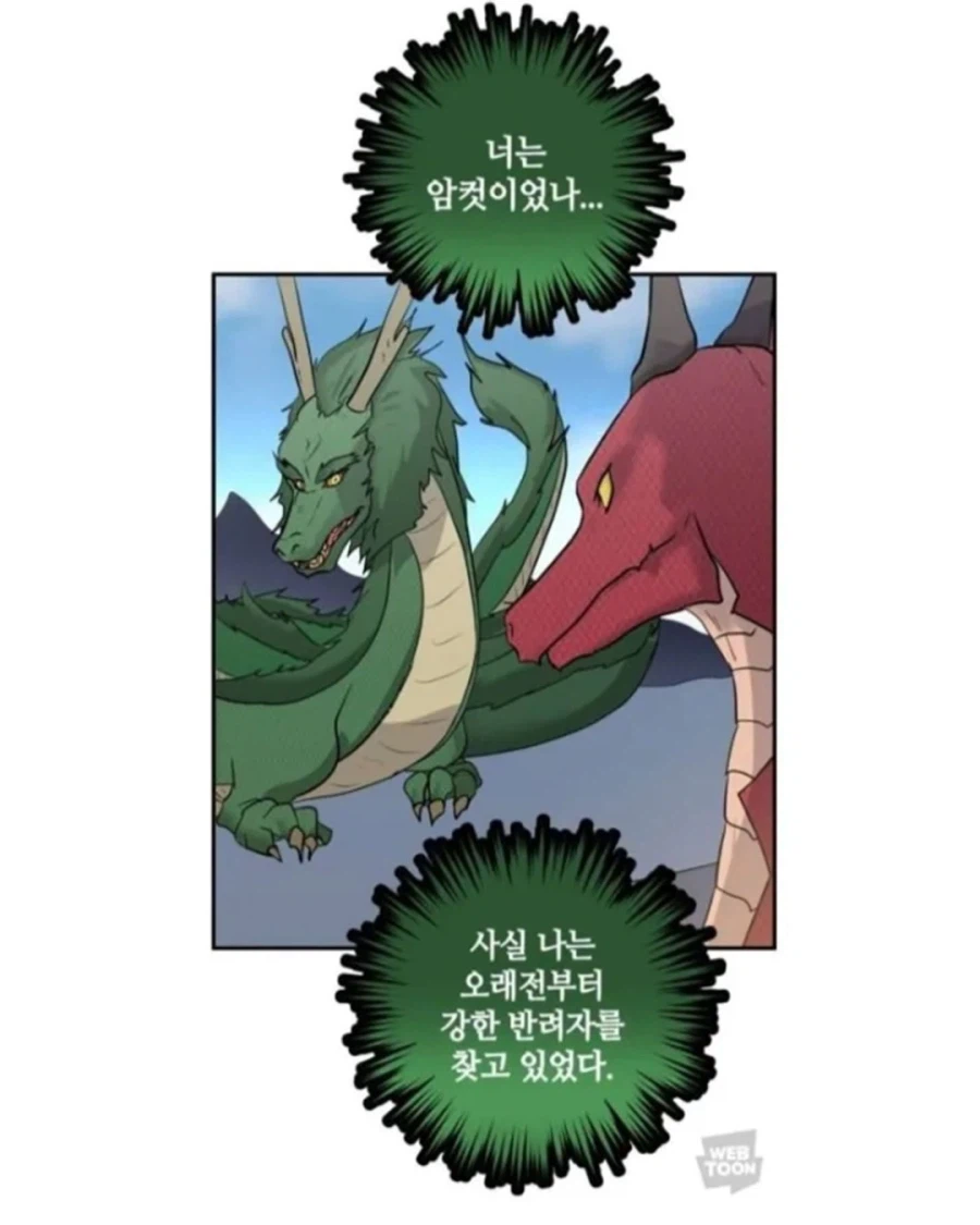 동양 용 vs 서양 용 · 6번째 이미지