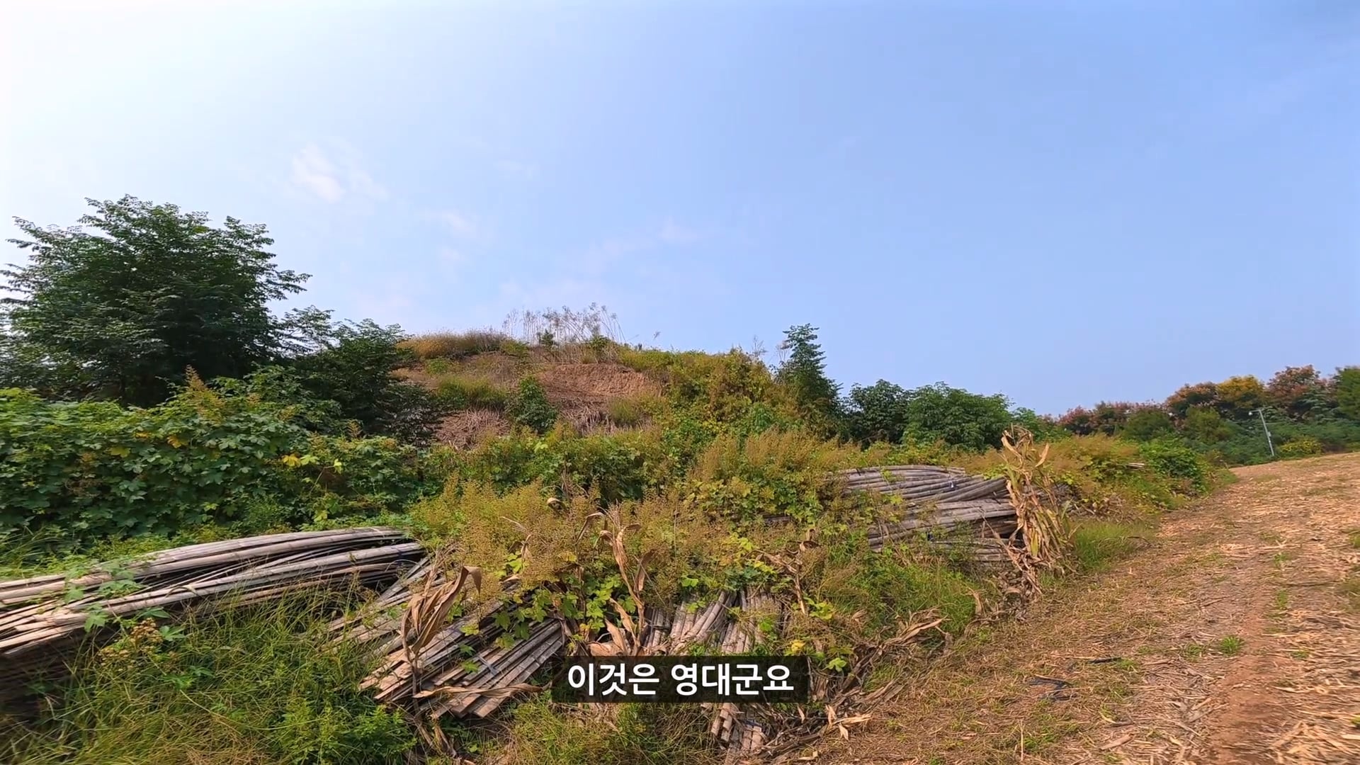 유튜버가 촬영 다하고 올때까지 기다리겠다는 택시기사 ㅋㅋㅋ · 16번째 이미지