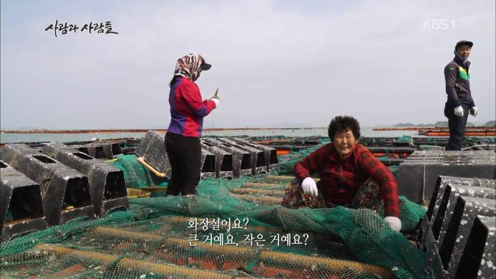 양식장에서 신호가 왔을 때 우짜는거야 그럼 · 1번째 이미지