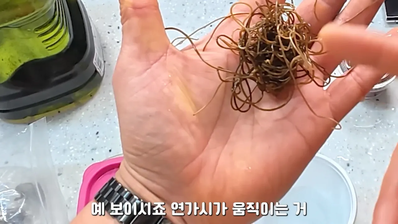 혐)연가시로 두쫀쿠만들어먹기 · 3번째 이미지