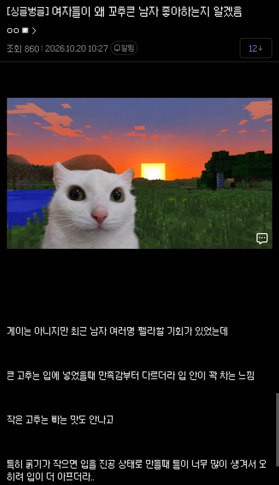 약혐) 왜 큰 야추가 좋은지 깨달은 싱붕이 · 1번째 이미지