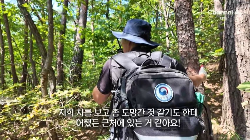 채널a) 송이버섯 1kg에 160만원...밤낮 추격전 · 38번째 이미지