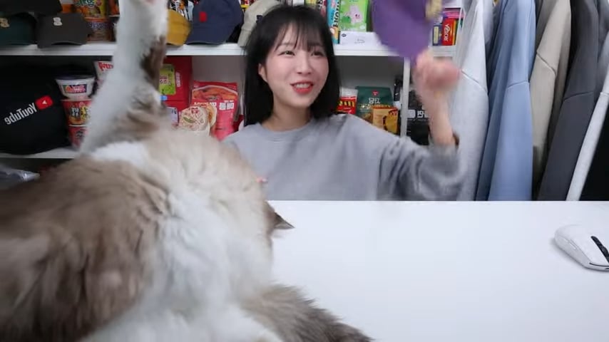 개오랜만에 라이브 방송키고 고양이 자랑하다가 대참사난 쯔양 · 4번째 이미지