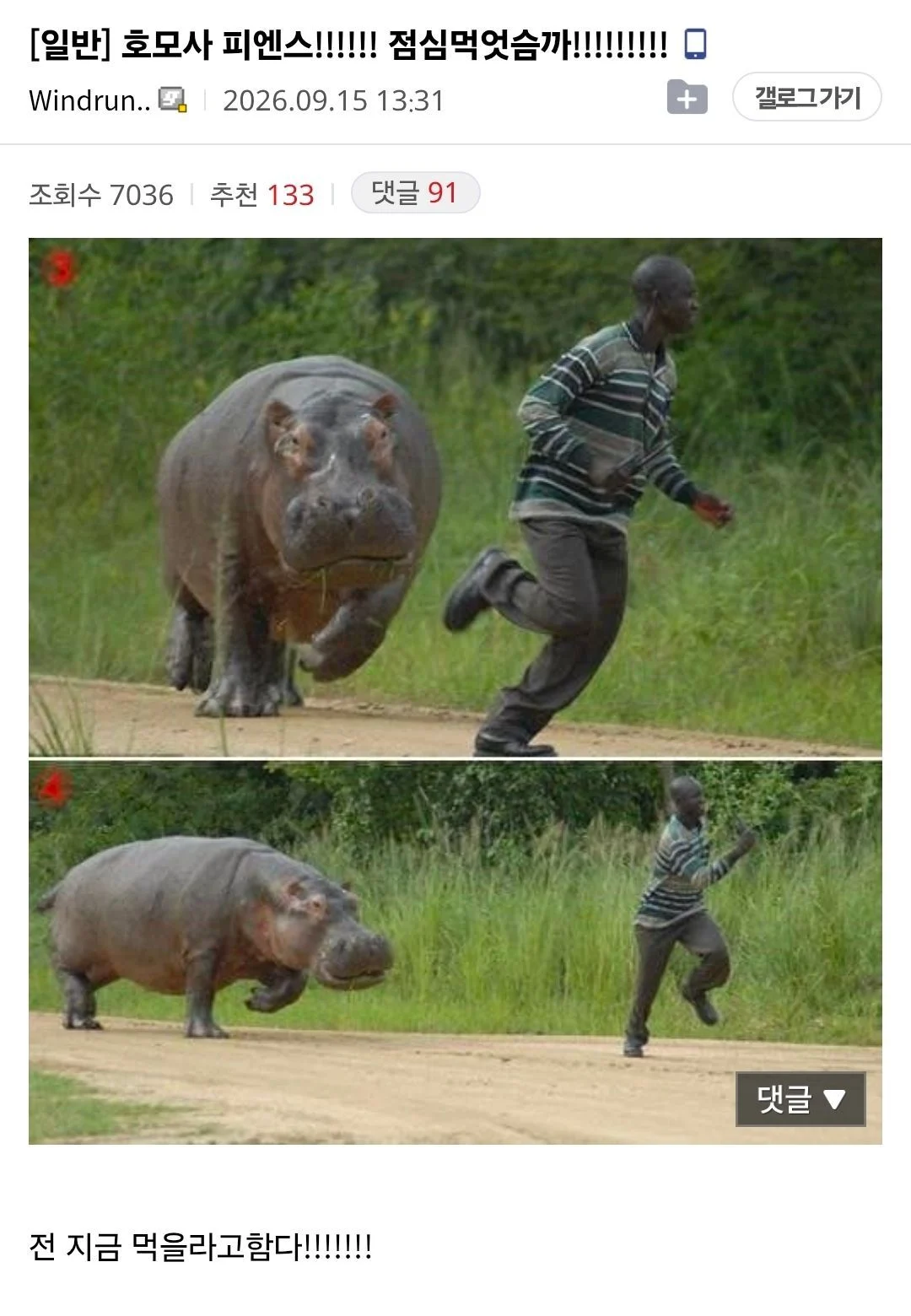 ㅆㄷ) 코야마카즈사!!! 점심먹었습까!!!!!! · 13번째 이미지
