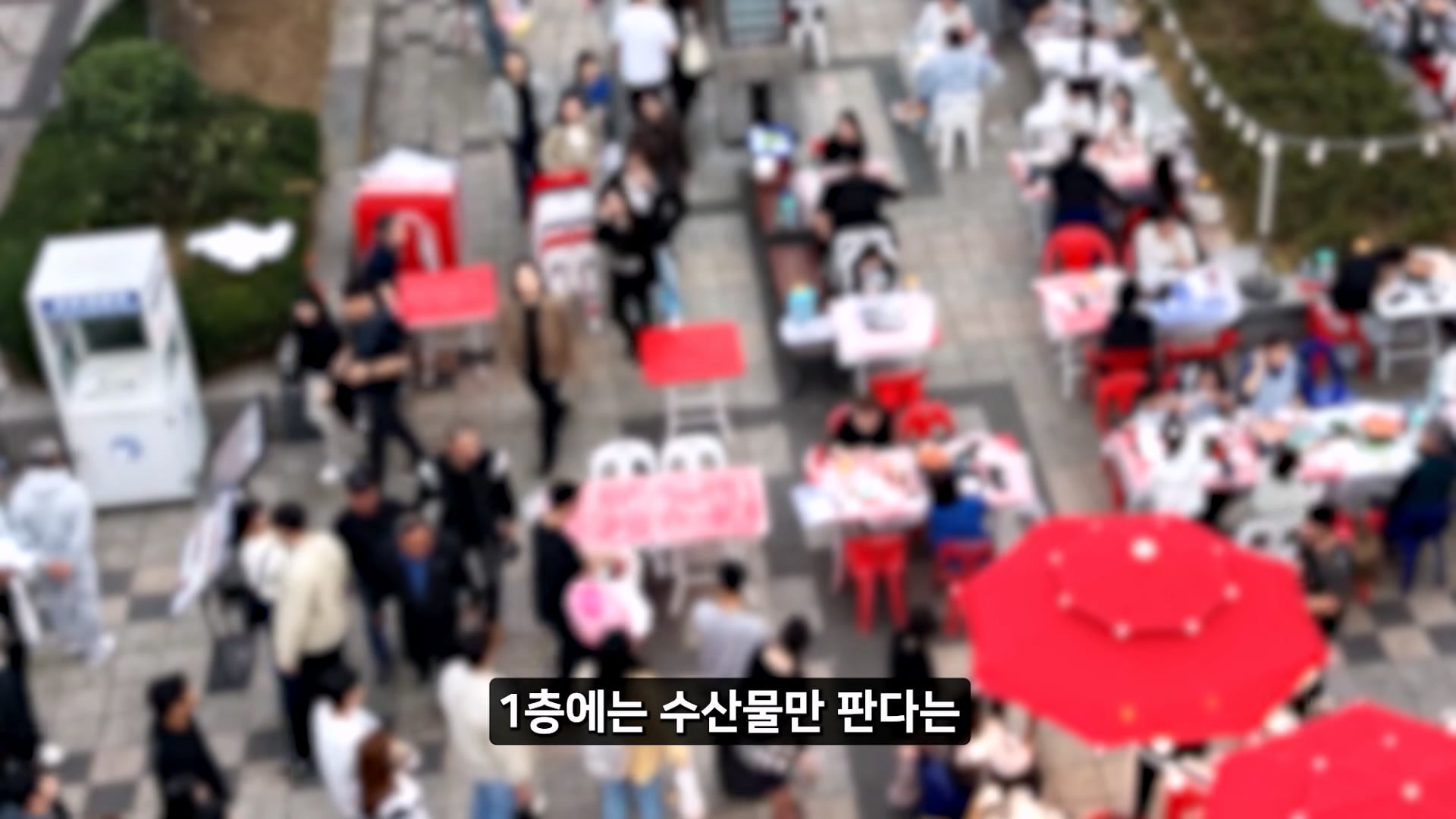 소래포구 저격하려고 14일간 잠입한 유튜버 · 19번째 이미지