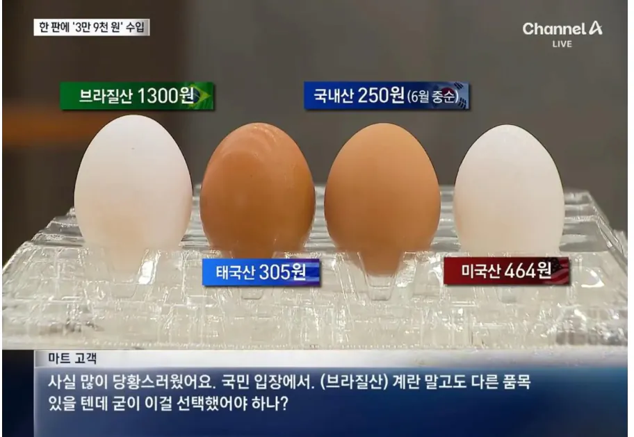 image.png 브라질 계란 수입 사태 근황 . jpg