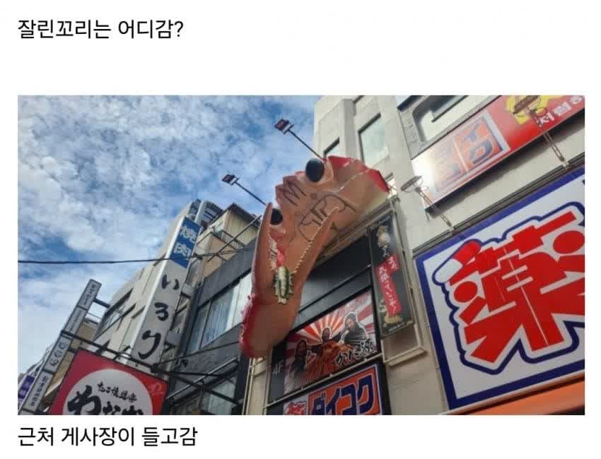 오사카의 한 라멘집 잘려버린 용 꼬리 · 2번째 이미지
