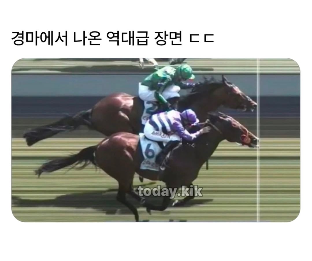 경마에서 나온 역대급 장면.jpg