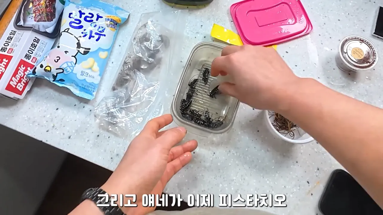 혐)연가시로 두쫀쿠만들어먹기 · 5번째 이미지