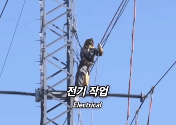 머스크가 본 미래 폭등할 직업 · 20번째 이미지