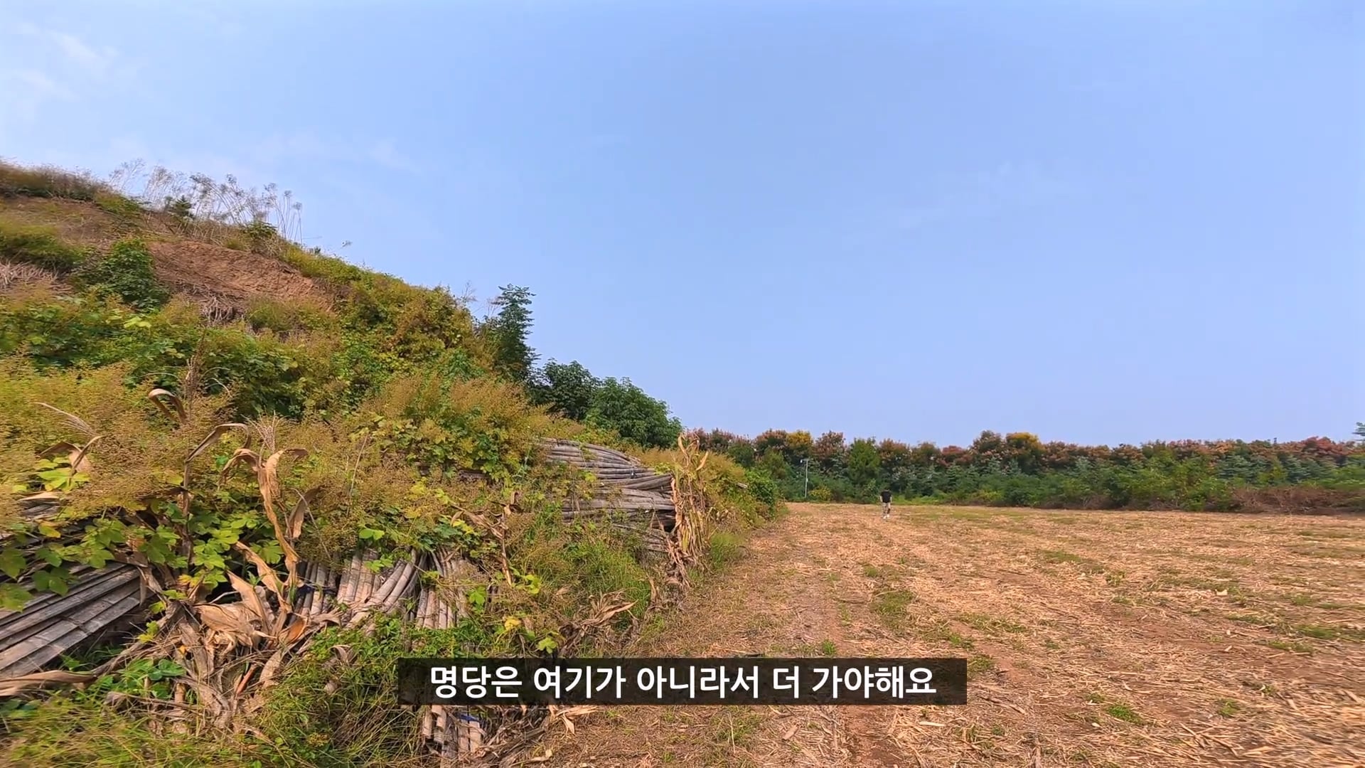 유튜버가 촬영 다하고 올때까지 기다리겠다는 택시기사 ㅋㅋㅋ · 15번째 이미지