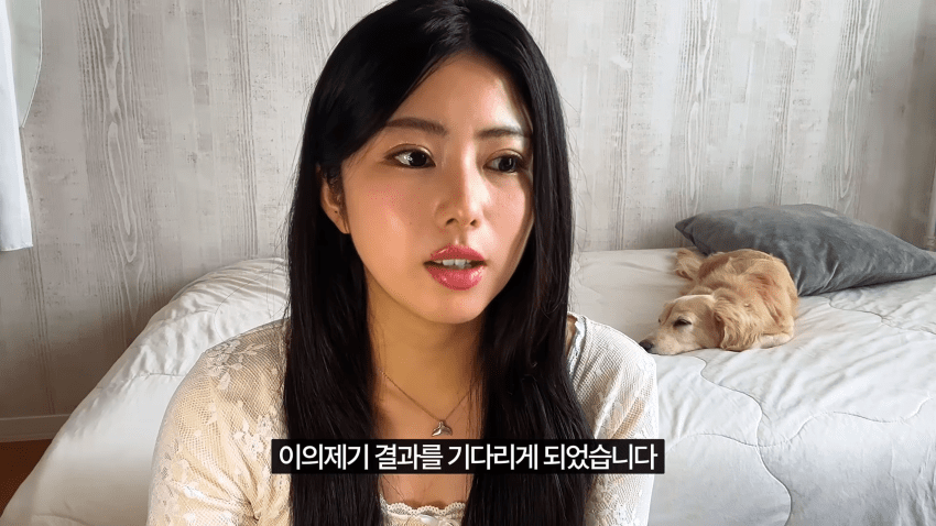 일본인 여자친구가 한국에서 입국 거부를 당했습니다 · 29번째 이미지