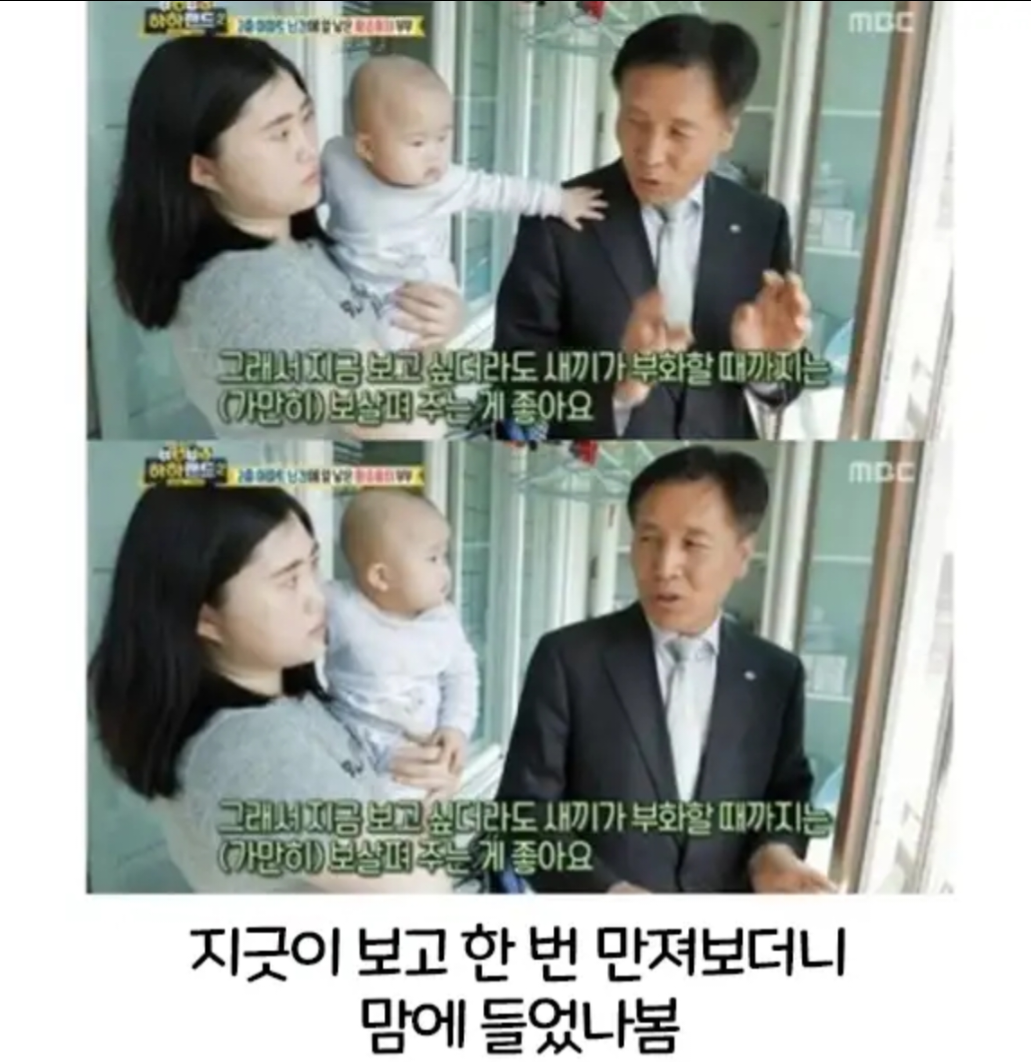 새 전문가가 마음에 든 아기 · 2번째 이미지