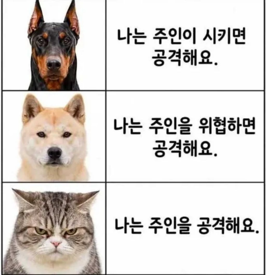 개와 고양이의 차이