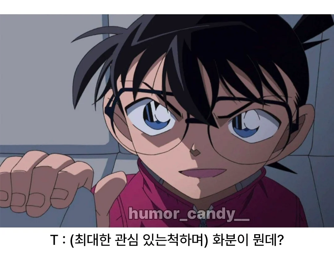 '나 우울해서 화분샀어'에 대한 T의 대답.jpg · 5번째 이미지