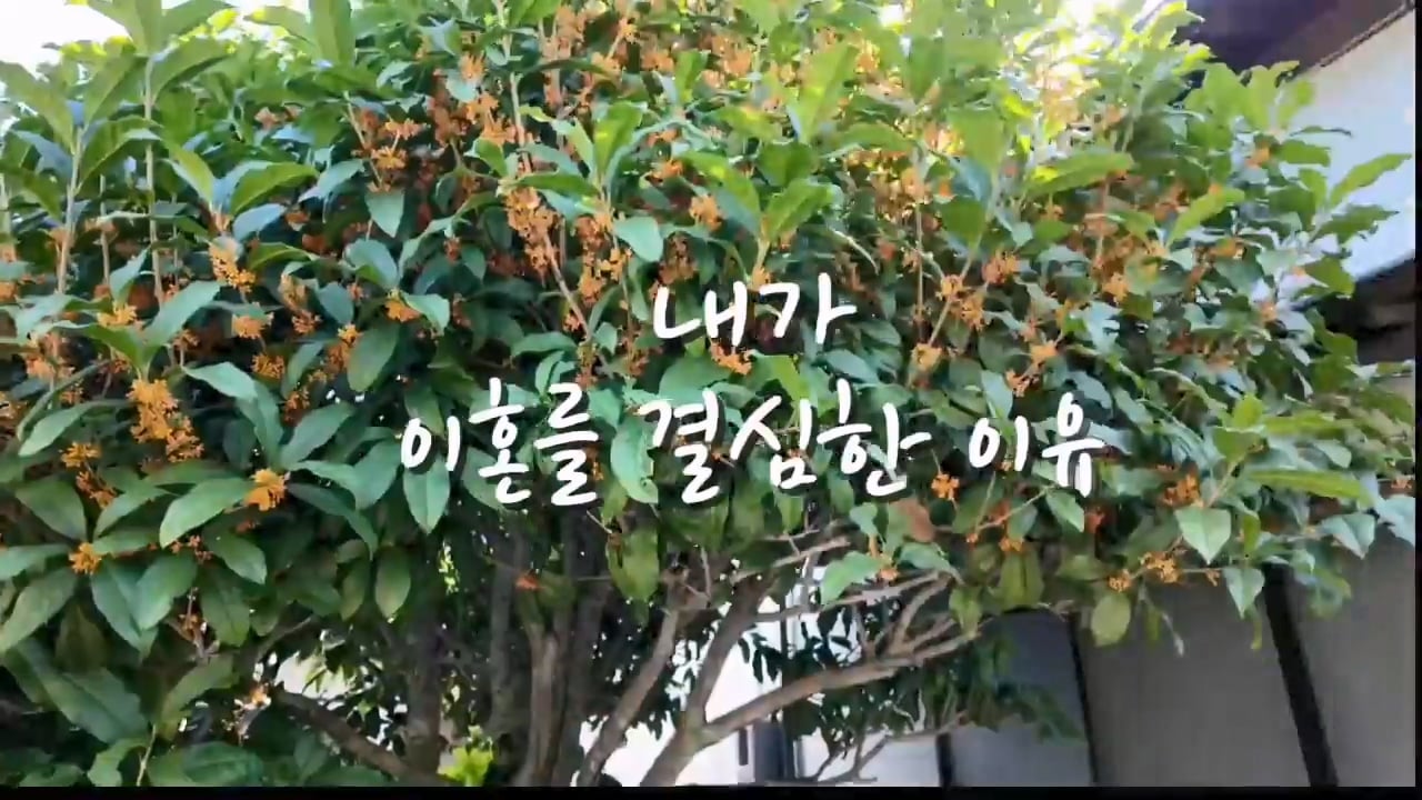 일본 여성과 결혼한 한국인 남성이 이혼을 선택한 이유