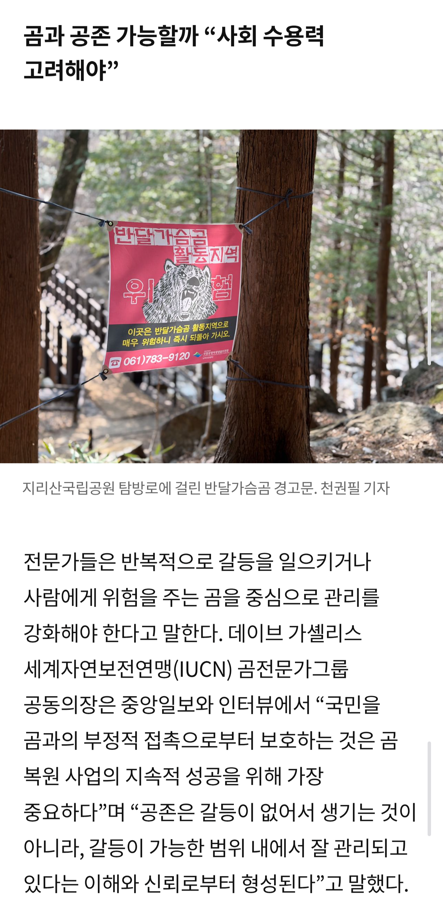 곰사업관련해 여론 가스라이팅이 무서운이유 · 2번째 이미지