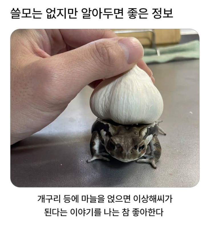 포켓몬 이상해씨 얻는법. · 2번째 이미지