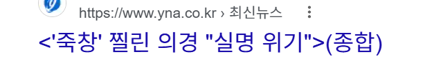 한국 과격시위를 많이 사라지게 만든 단체 .jpg · 23번째 이미지