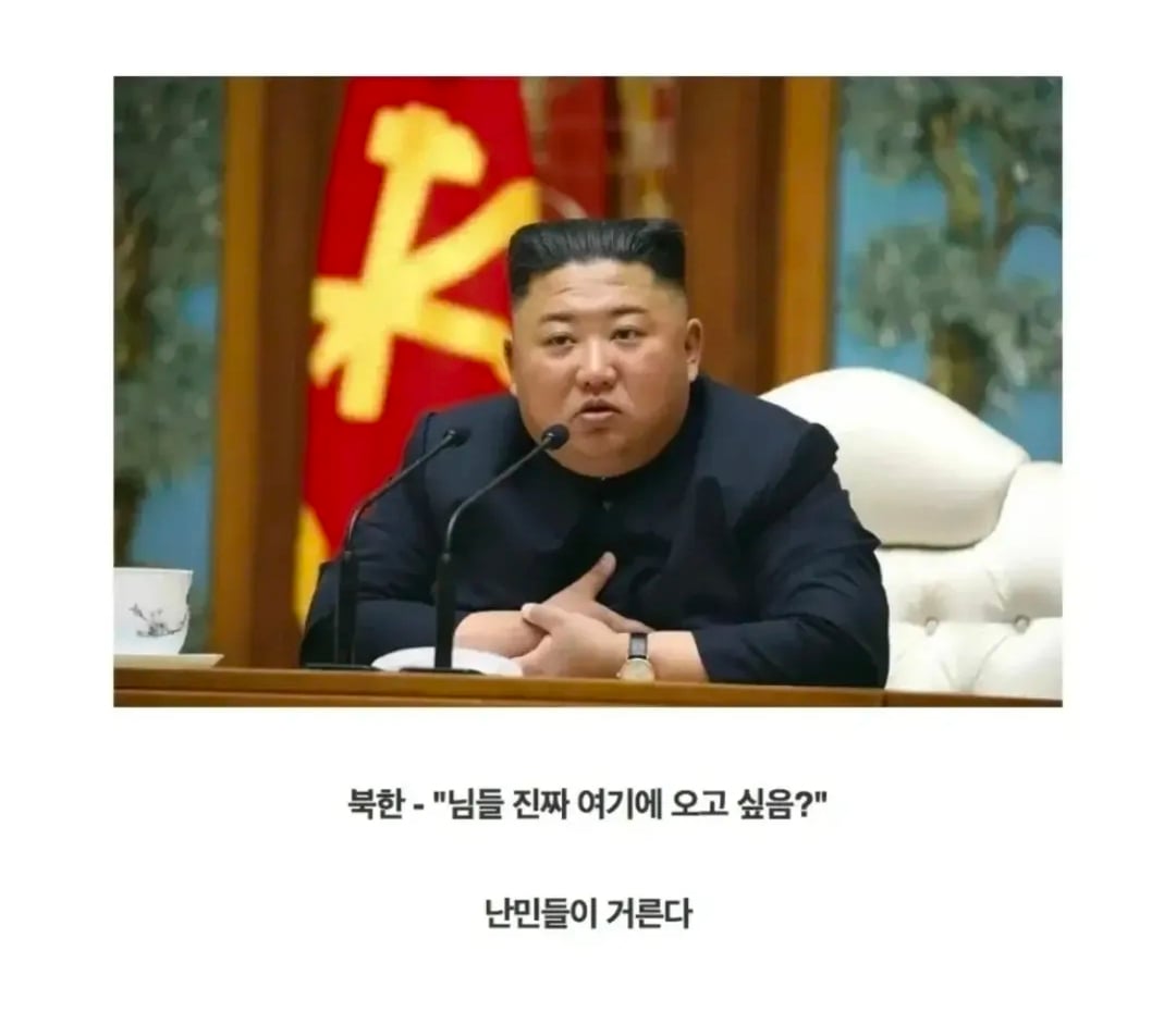 동북아 국가들의 난민 안받는 법.jpg · 6번째 이미지