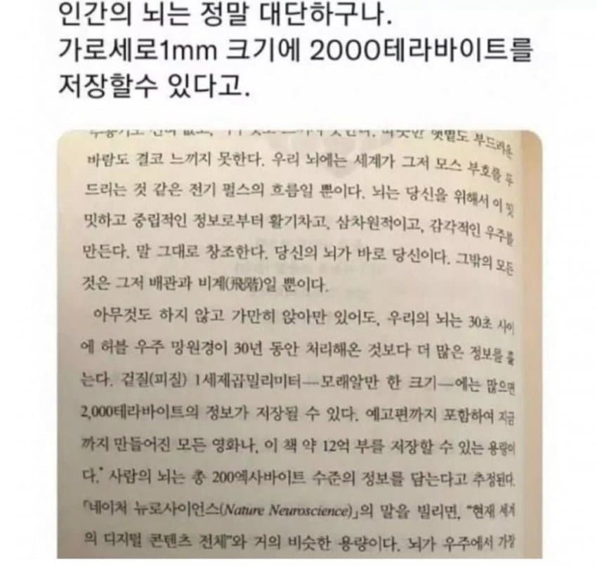 싱글벙글 ‘뇌’의 놀라운 능력과 이를 상쇄하는 치명적 단점 · 1번째 이미지