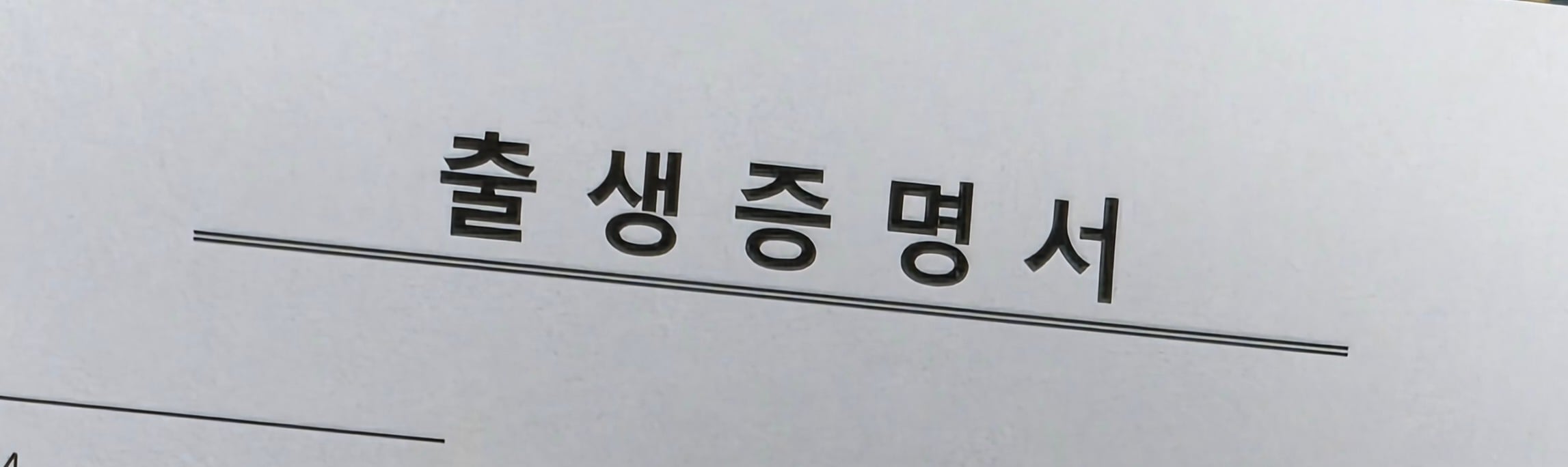 개붕이 애국 인증