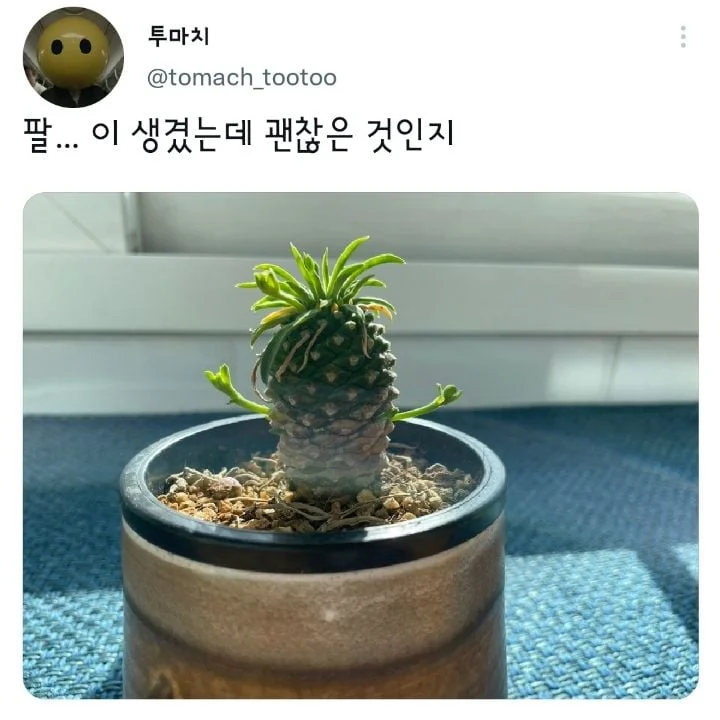 안아줘요
