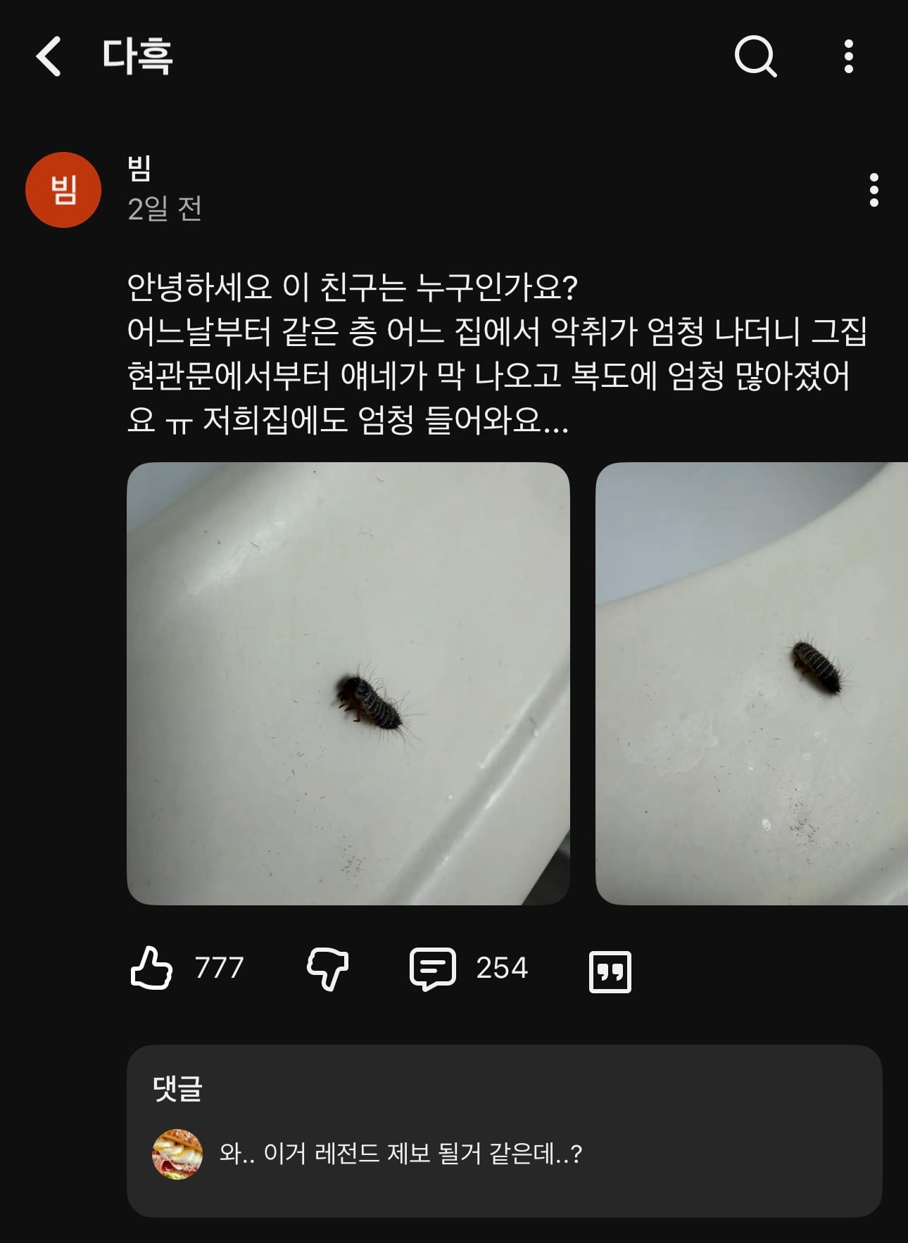 지금 난리난 곤충유튜버 다흑 커뮤니티 근황…jpg · 1번째 이미지