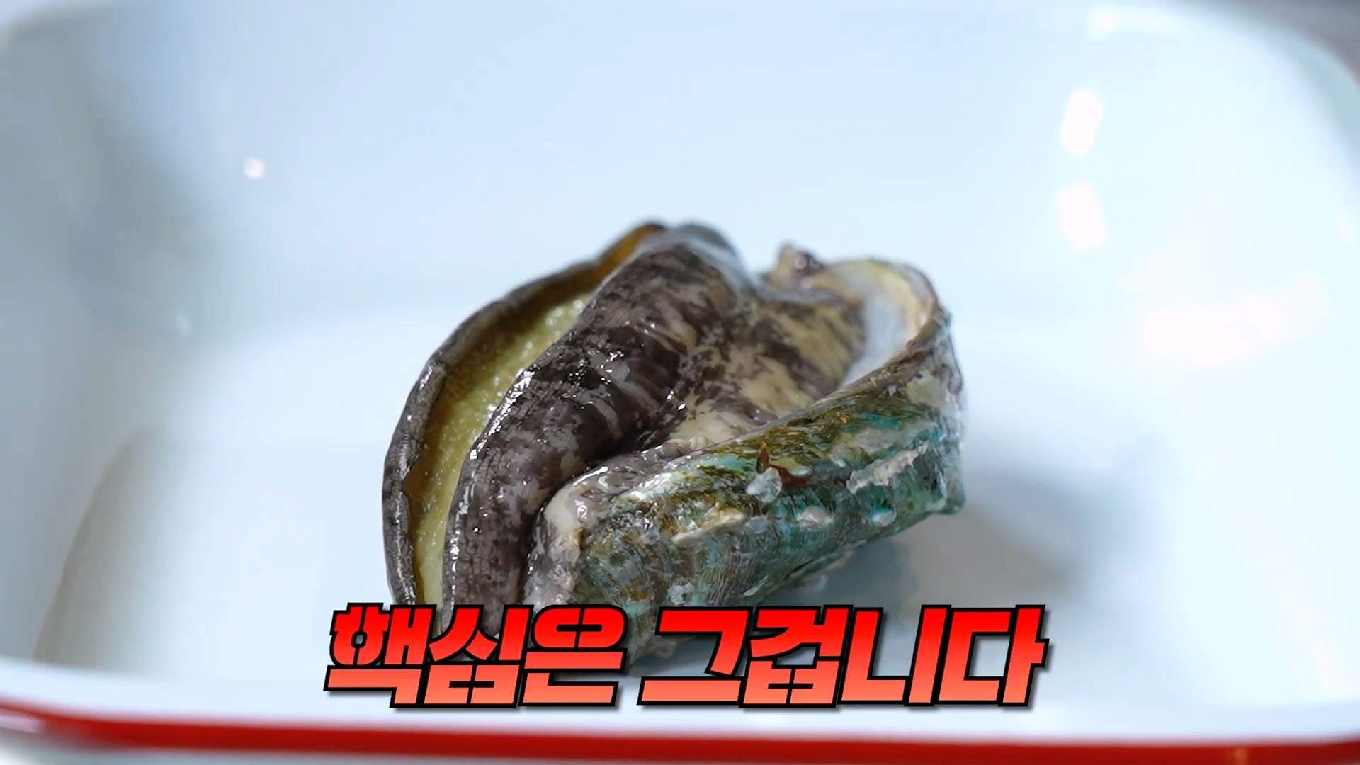 암컷 아저씨가 알려주는 손 쉬운 전복 손질 방법