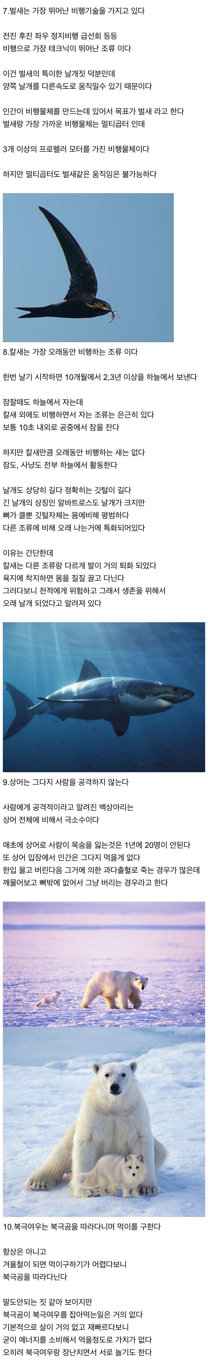 신기한 동물 지식 10가지 · 3번째 이미지