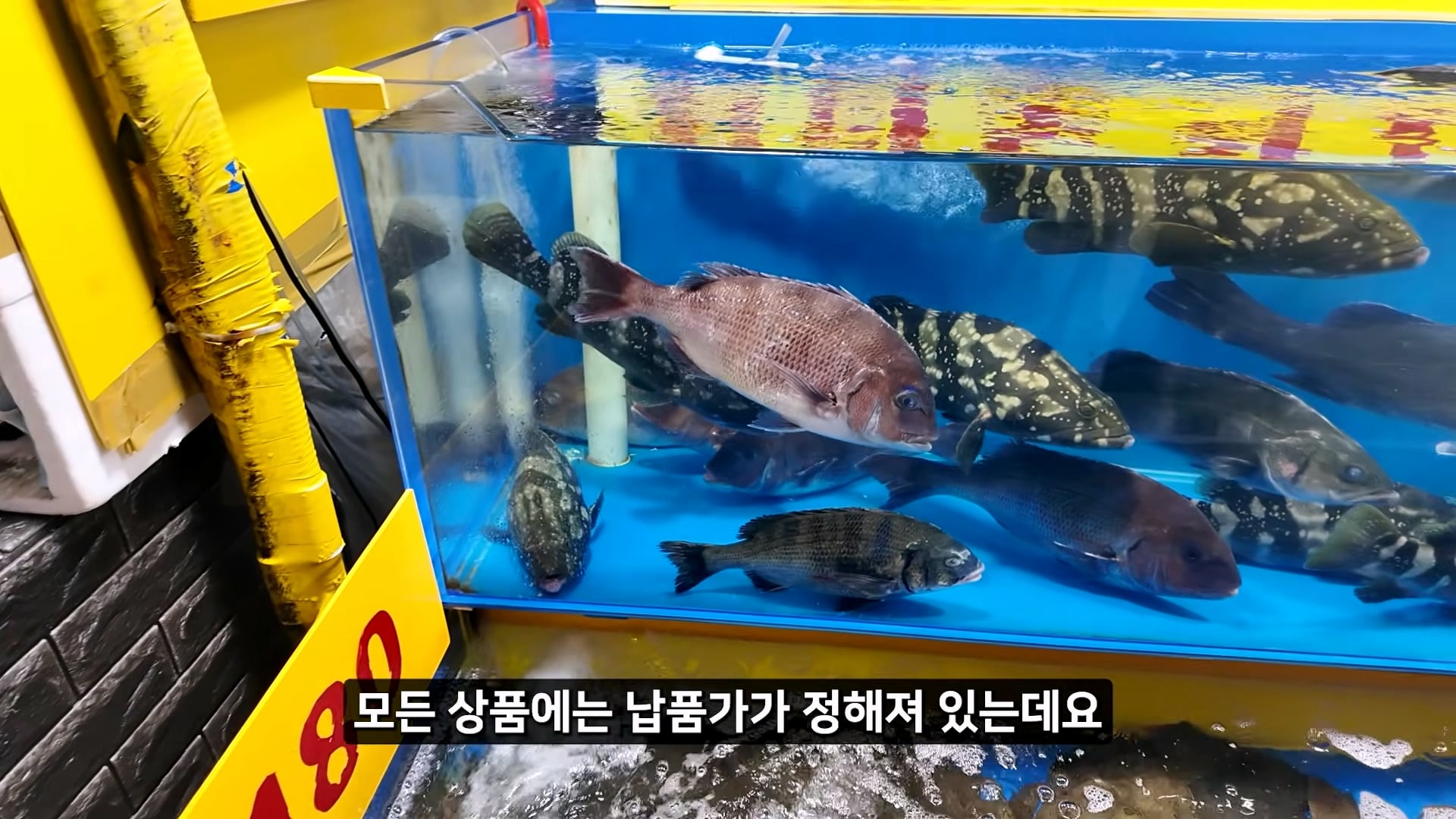 소래포구 저격하려고 14일간 잠입한 유튜버 · 13번째 이미지