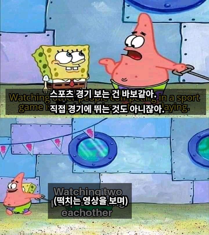 "스포츠 경기 보는 건 바보 같아."