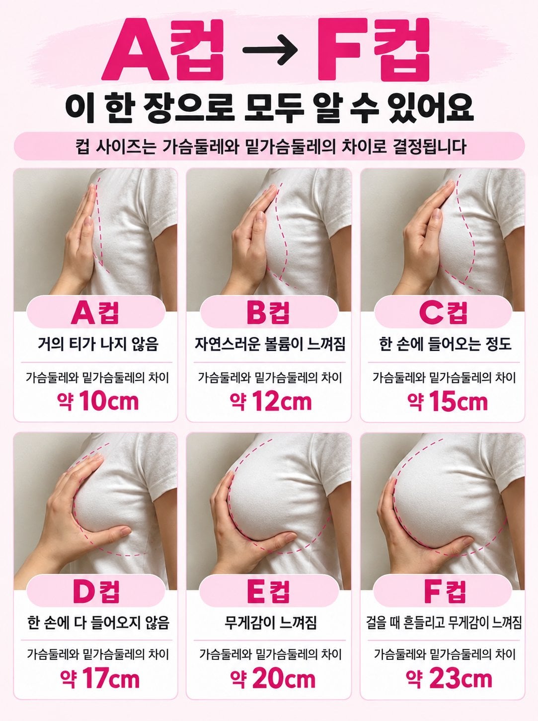 가슴 크기별 차이 · 1번째 이미지